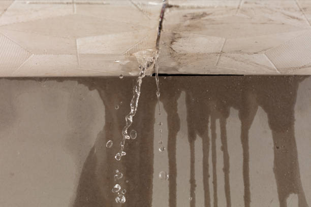 Professional Structural Drying technician working in Palacios, TX